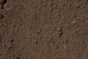 Screened Top Soil Clean dirt, no rocks or roots