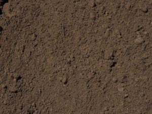Screened Top Soil Clean dirt, no rocks or roots